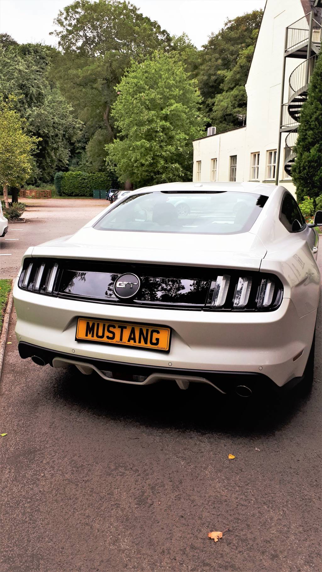 Image of 2018 white Ford Mustang in the hotel grounds