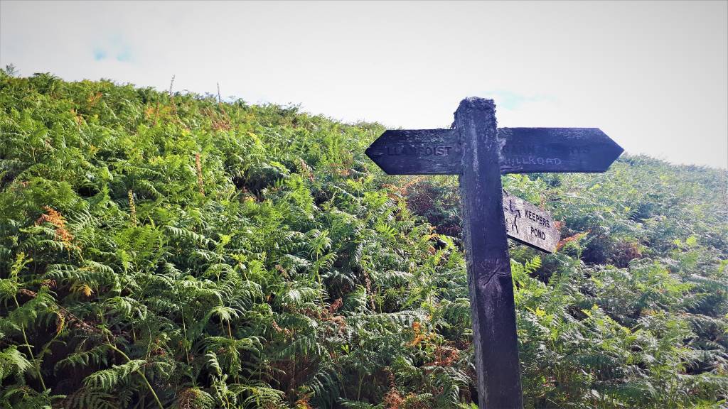 The wooden signpost that you will pass when descending the rocky path