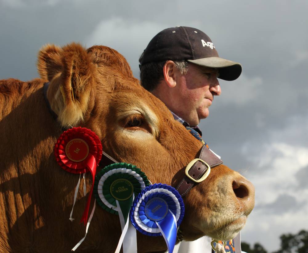  A farmer and his competition winning cow. © Usk Show.