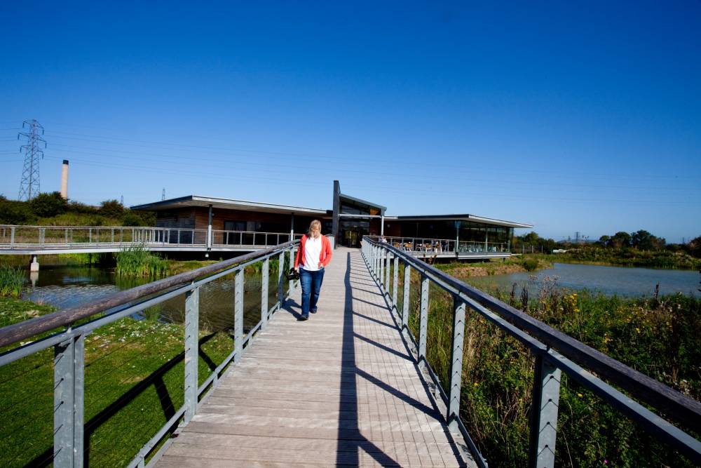 One of the walkways above the marsh land leading to the visitor centre. ©  Visit Monmouthshire