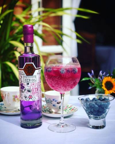 Parma Violet Gin and Tonic