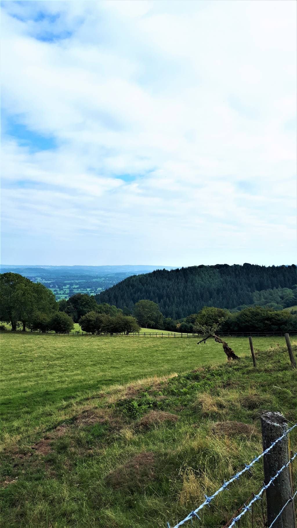 a lovely view across one of the fields you will pass