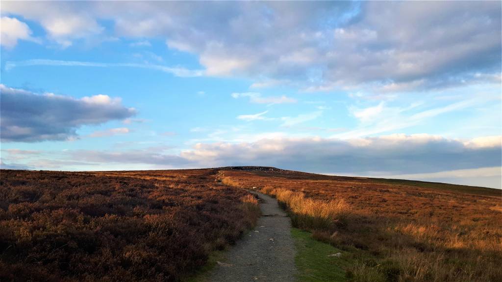 The view back up to the summit if you look behind you after heading towards the Foxhunters car park.