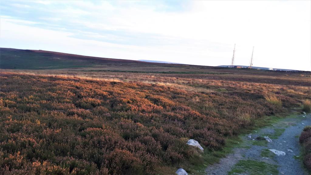 The two radio masts to look out for in point 6. when heading towards the foxhunter car park.