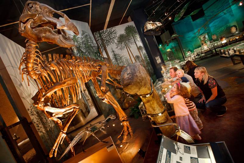 one of the many dinosaur skeletons in the museum. © Cardiff National Museum.