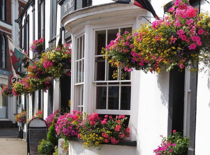 A beautiful arrangement of flowers in front of a local business. ©  Usk in Bloom