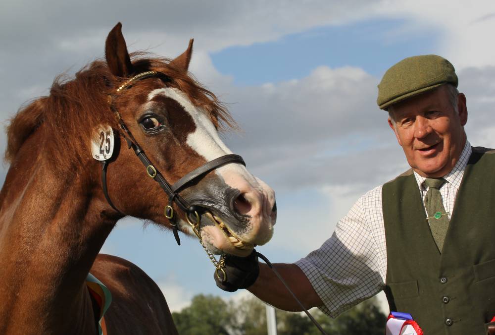 Usk Show 2017, a farmer and his horse. © Usk Show