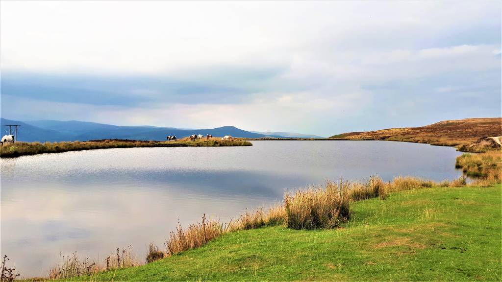 Looking over Keepers Pond from the car park.